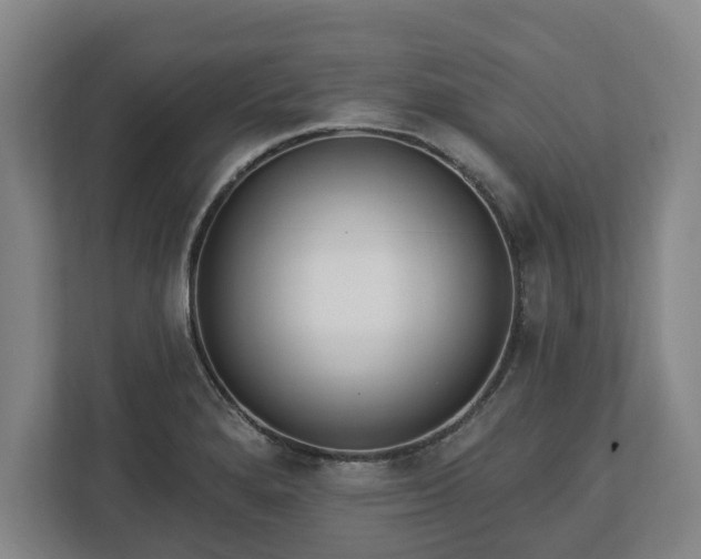 X0000112741280200908271514