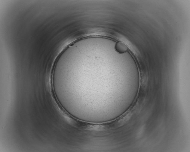 X0000112741282200908271514