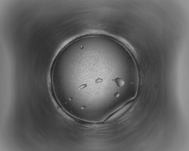 X0000112741287200908271514