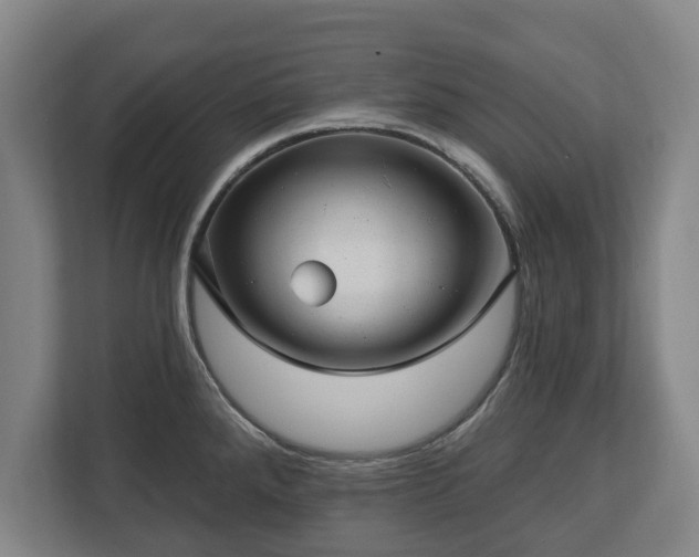 X0000112741288200908271514