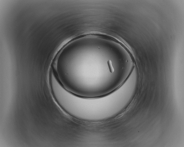 X0000112741293200908271514