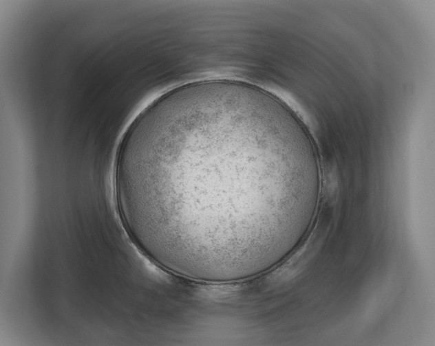 X0000112741294200908271514