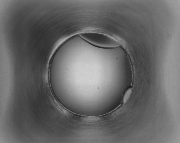 X0000112741296200908271514