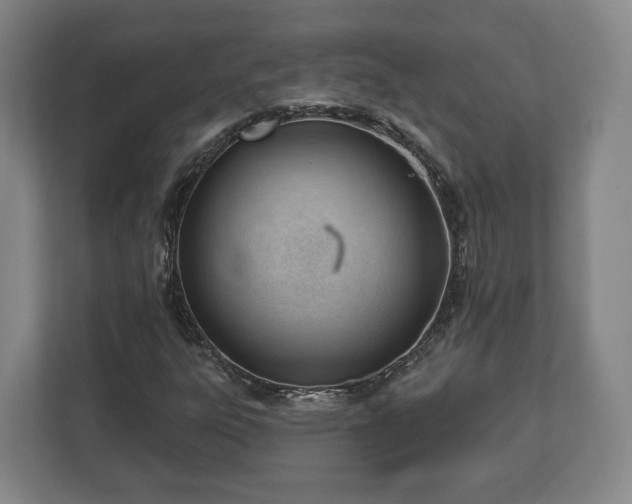 X0000112741303200908271513