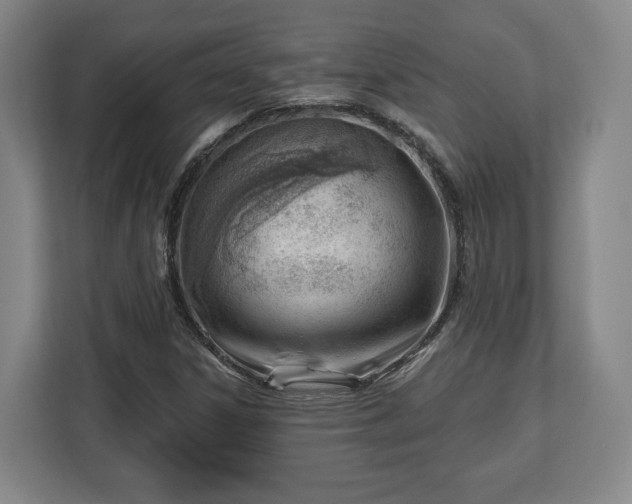 X0000112741306200908271513
