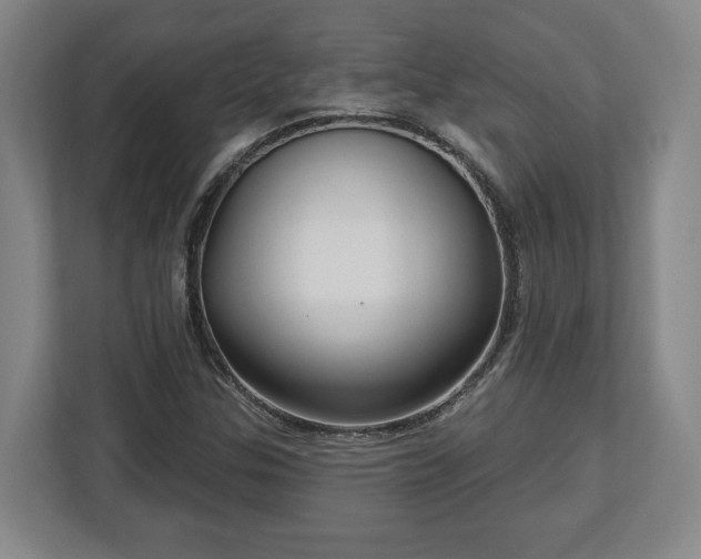 X0000112741307200908271513