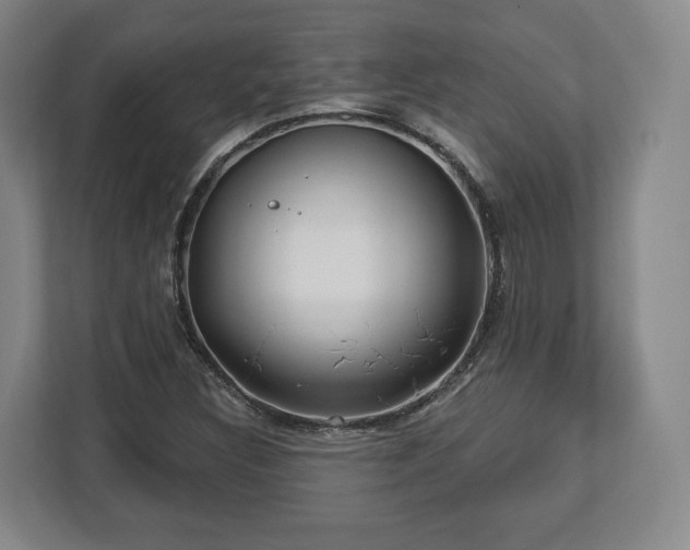 X0000112741308200908271513