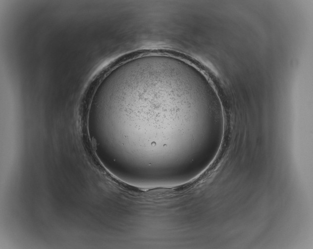X0000112741311200908271513