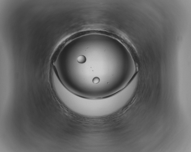 X0000112741312200908271513
