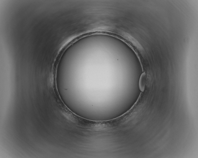 X0000112741316200908271513