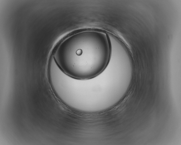 X0000112741320200908271513