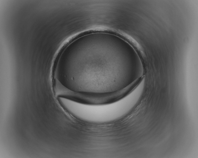 X0000112741327200908271514