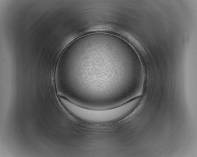 X0000112741329200908271514