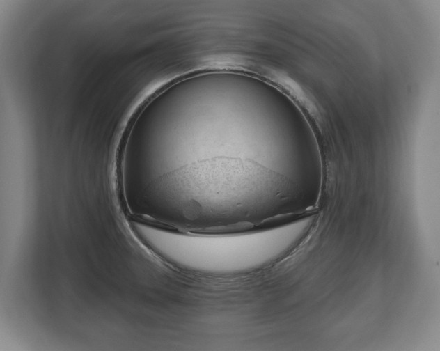 X0000112741331200908271514