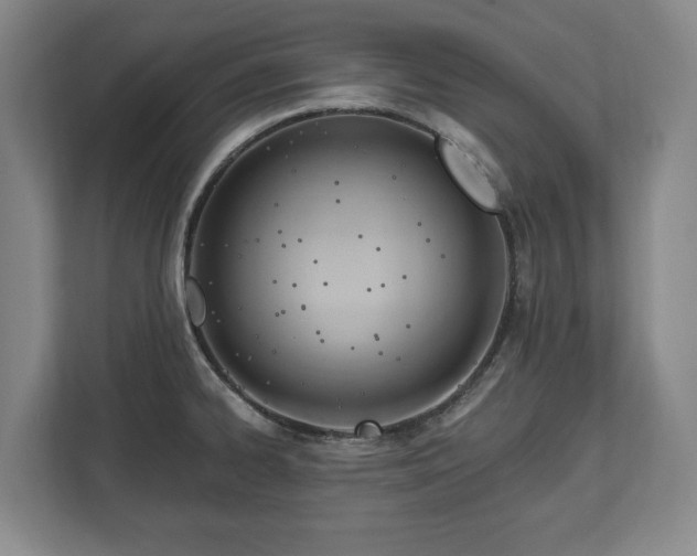 X0000112741334200908271514
