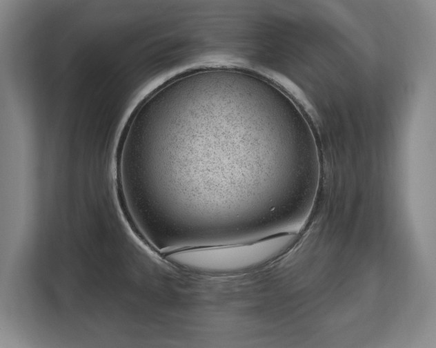 X0000112741335200908271514
