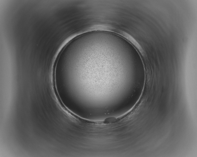 X0000112741339200908271514