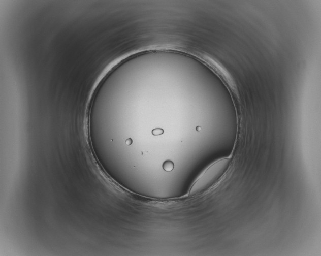 X0000112741340200908271514