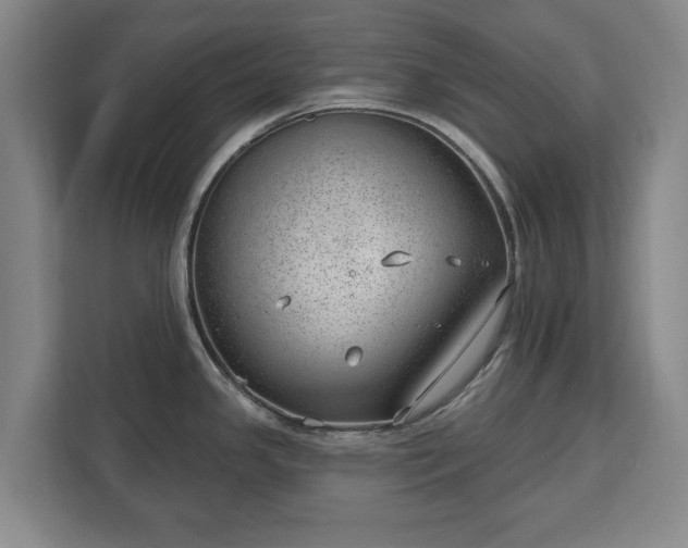 X0000112741341200908271514