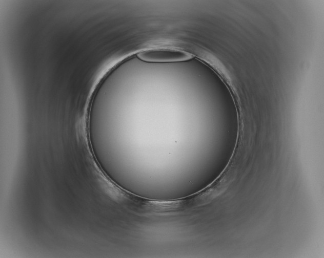 X0000112741344200908271514