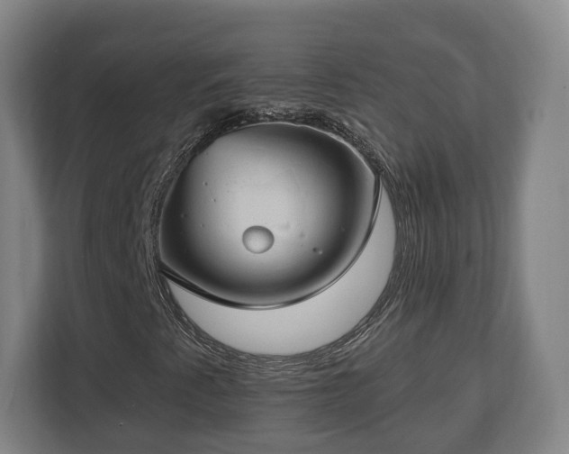 X0000112741345200908271513