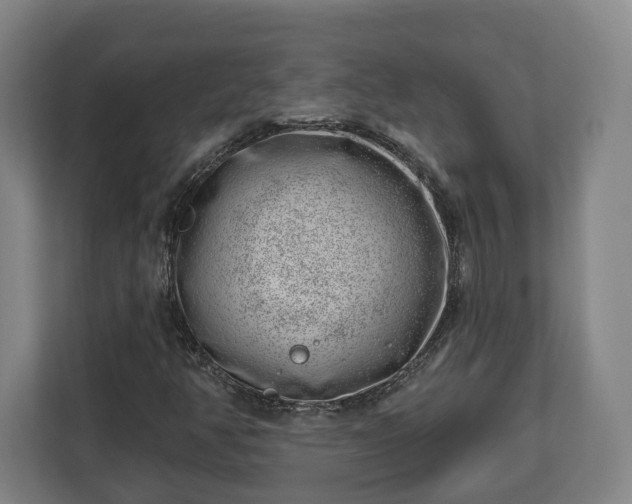 X0000112741350200908271513