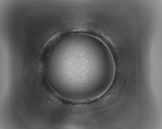 X0000112741351200908271513
