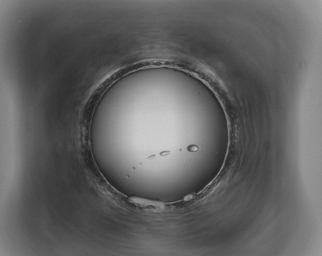 X0000112741352200908271513