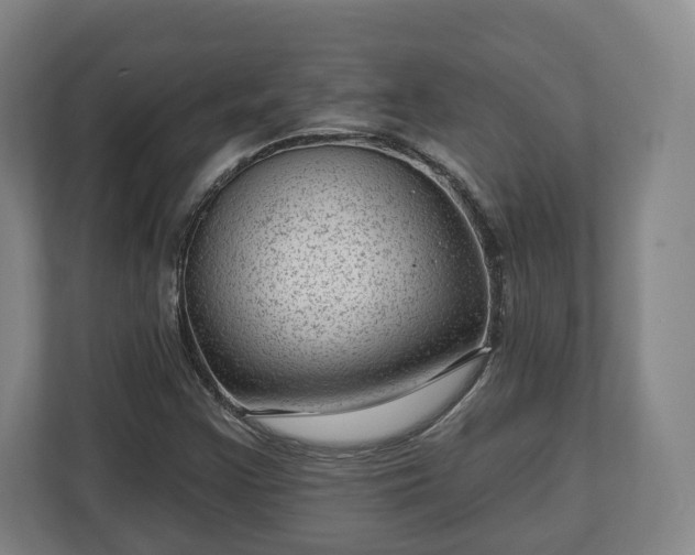 X0000112741355200908271513