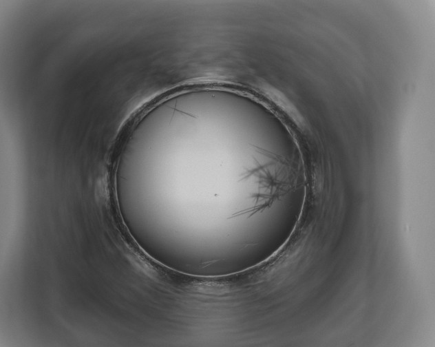 X0000112741356200908271513
