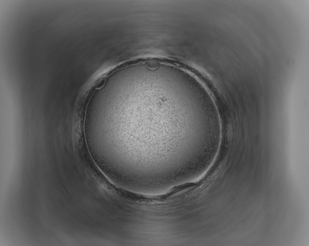 X0000112741359200908271513