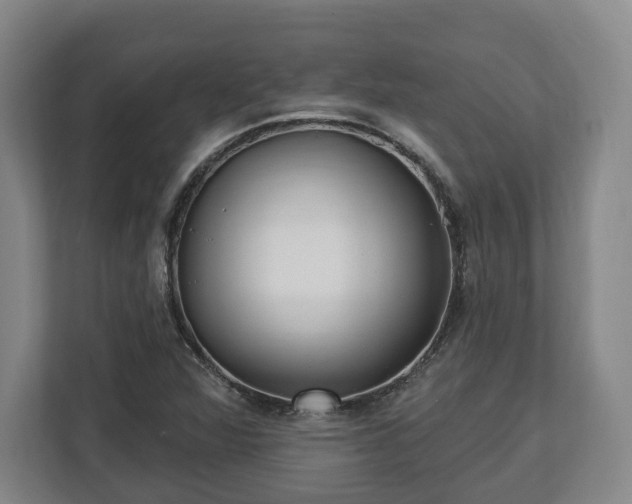 X0000112741360200908271513