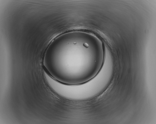 X0000112741361200908271513