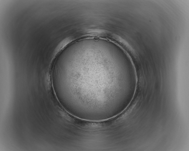 X0000112741362200908271513