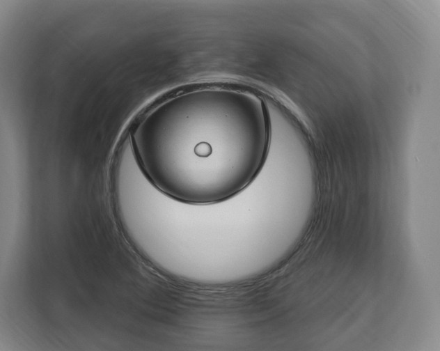 X0000112741364200908271513