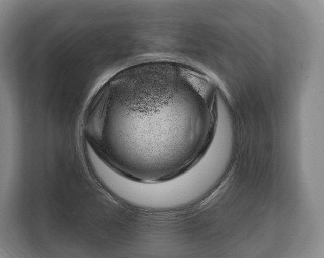 X0000112741365200908271513
