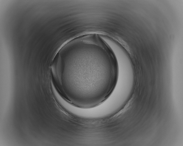 X0000112741369200908271513