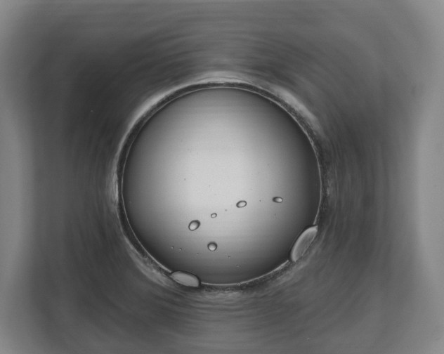 X0000112741372200908271513