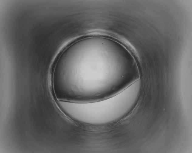 X0000112741376200908271513