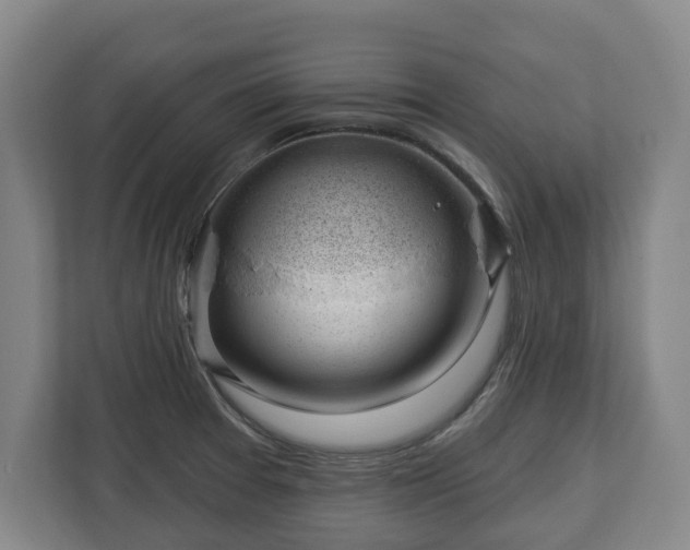 X0000112741377200908271513