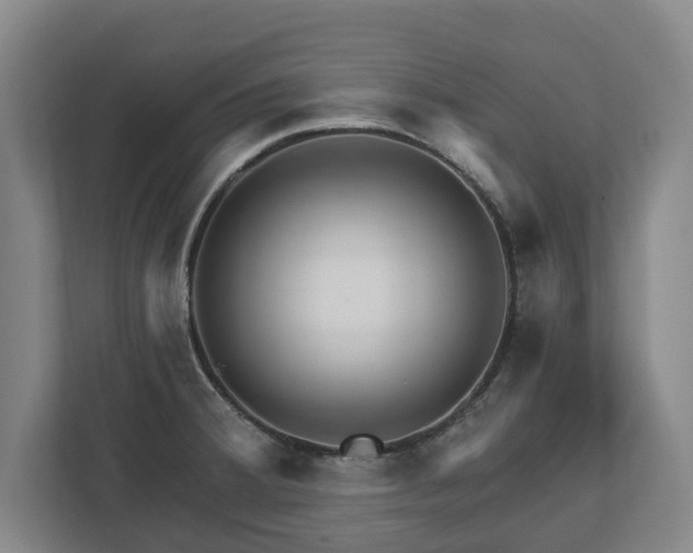 X0000112741380200908271513