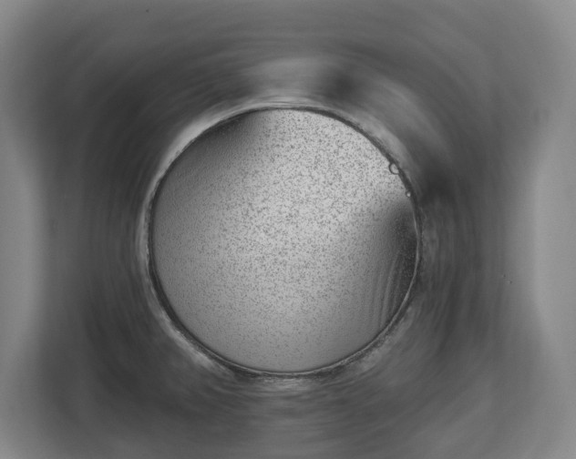 X0000112741382200908271513
