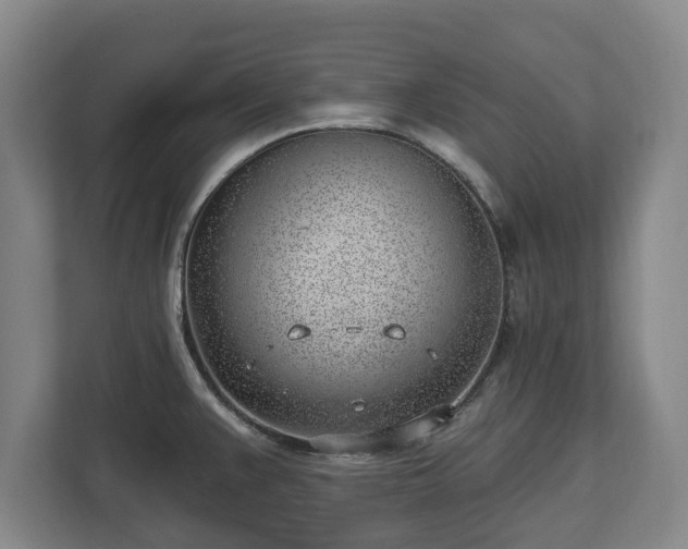 X0000112741383200908271513