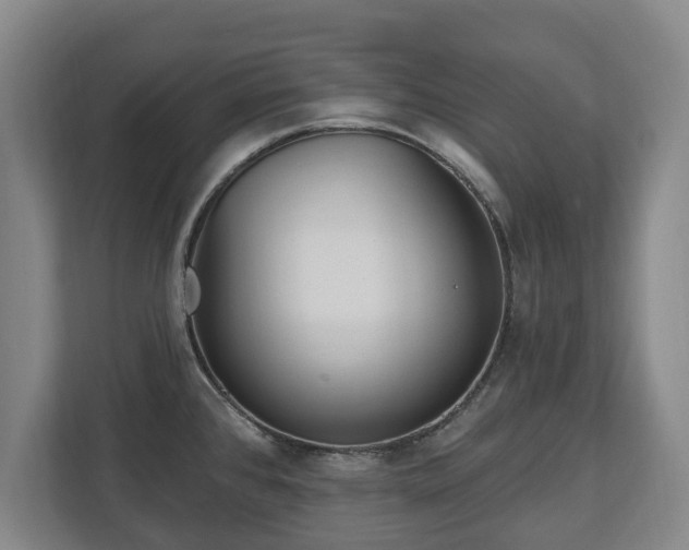 X0000112741384200908271513