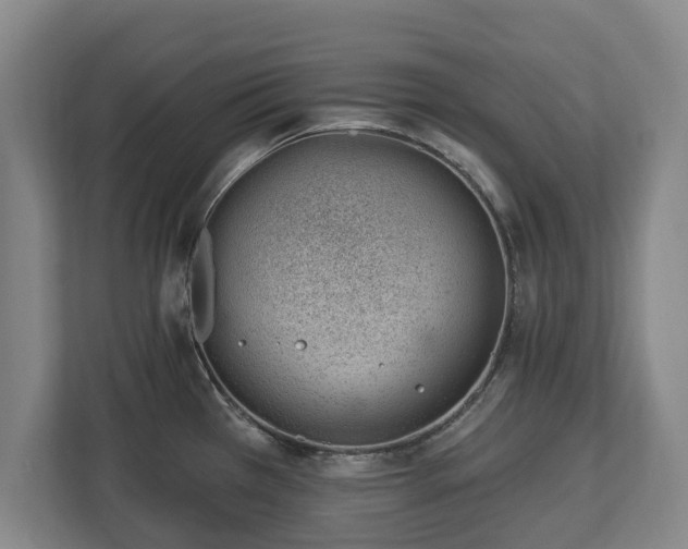 X0000112741385200908271513