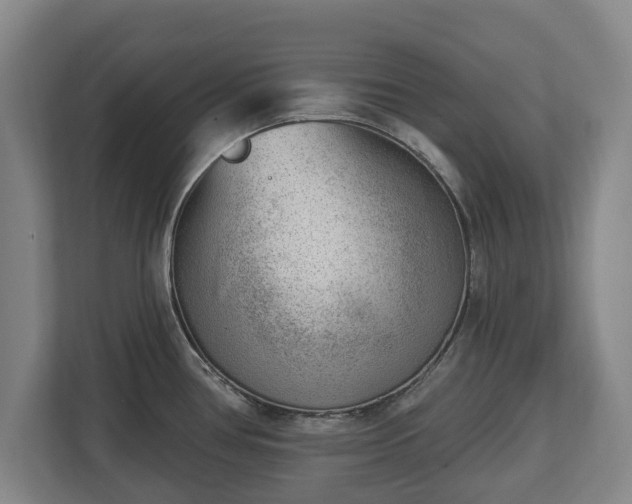 X0000112741386200908271513