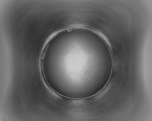 X0000112741389200908271513