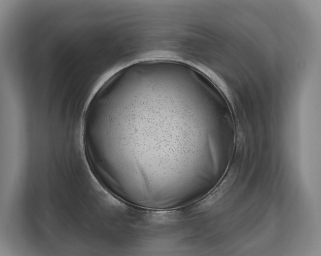 X0000112741390200908271513