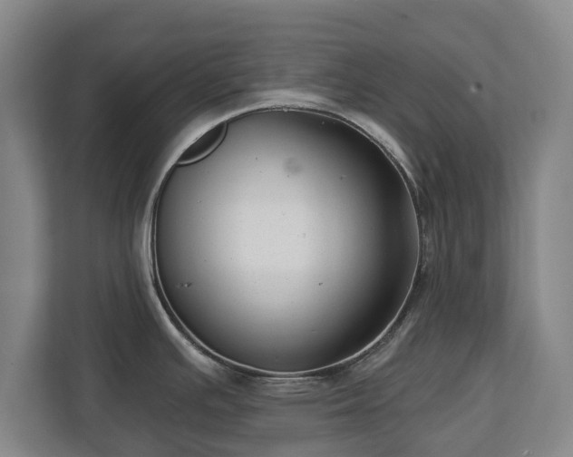 X0000112741391200908271513