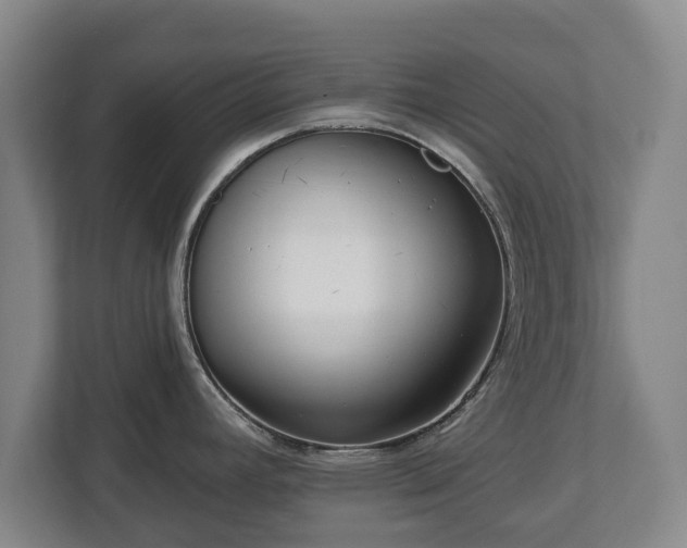 X0000112741392200908271513